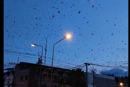 Người dân bất ngờ ghi lại được cảnh tượng lạ trên bầu trời