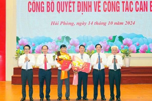 Hải Phòng bổ nhiệm nhiều lãnh đạo chủ chốt ở địa phương