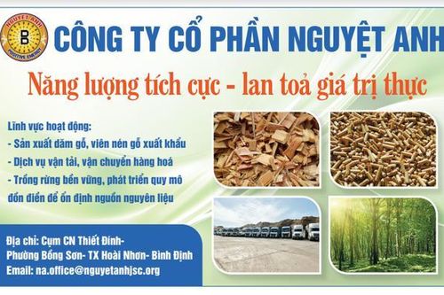 Tập đoàn Nguyệt Anh kiến tạo môi trường xanh, sản xuất đi đôi với phát triển bền vững