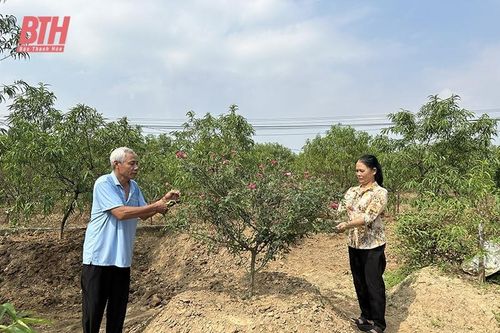 Hiệu quả công tác phòng, chống bạo lực gia đình ở Quảng Xương