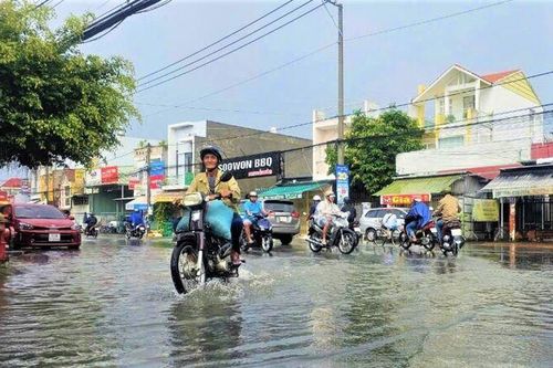 Chủ động giải pháp ứng phó lũ kết hợp triều cường