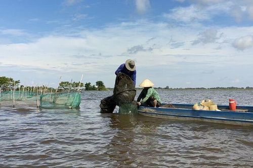 Khai thác, bảo vệ nguồn lợi thủy sản đúng quy định