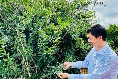 Nông dân duy nhất của Đồng Nai được vinh danh Nông dân Việt Nam xuất sắc năm 2024