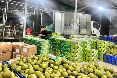 Khánh Vĩnh: Khai mở tiềm năng phát triển kinh tế nông nghiệp