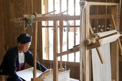 Trắng ngà sợi tơ Trà Chẩu