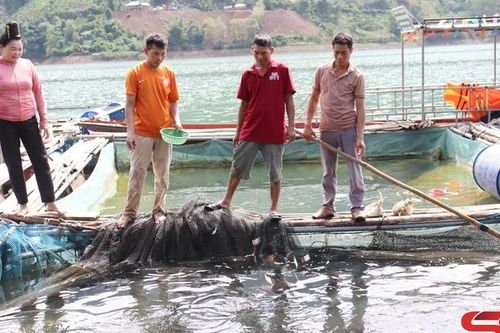 Thuận Châu giảm nghèo bền vững