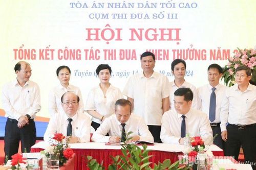 Cụm thi đua số 3 Tòa án nhân dân tổng kết công tác thi đua - khen thưởng năm 2024