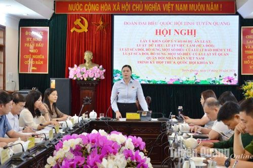 Góp ý 4 Dự án Luật trình Kỳ họp thứ 8