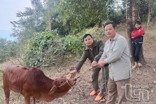 Khe Cái - xóm nghèo nỗ lực vươn lên