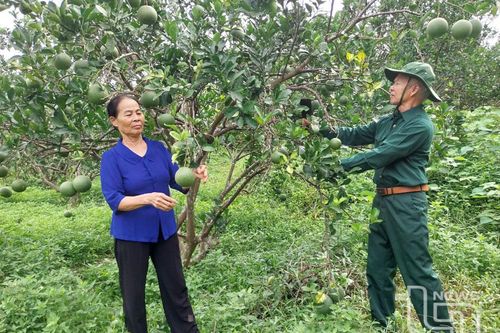 Dư nợ cho vay tăng gần 32 tỷ đồng