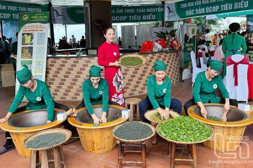 Thái Nguyên có 1 nông dân và 1 hợp tác xã sản xuất chè được vinh danh toàn quốc