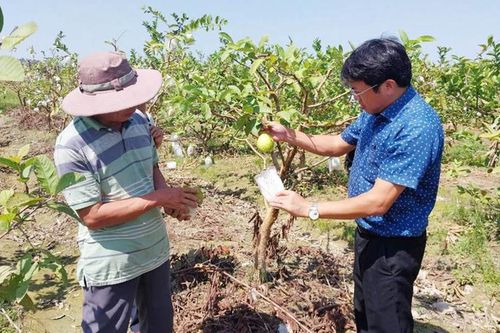 Nông dân hướng đến chuyển đổi số