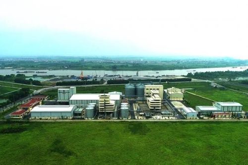 Doanh thu quý III hơn 3.500 tỷ đồng, DBC hoàn thành 73% mục tiêu kế hoạch đề ra