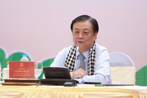 Bão lấy đi mùa vụ, nhưng không thể lấy đi nghị lực và ý chí của nông dân