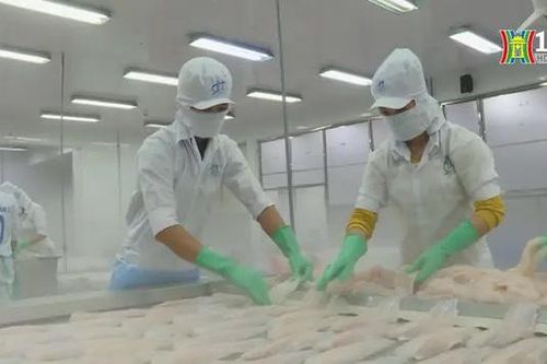 Agribank tăng quy mô tín dụng ưu đãi lâm - thủy sản