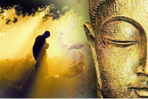 Những điểm dị biệt và tương đồng giữa Thiền và Tịnh