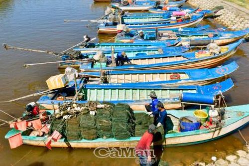 Lan tỏa phong trào bảo vệ, khôi phục nguồn lợi thủy sản