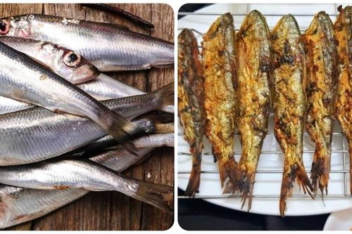 Loại cá nào giàu canxi nhất?