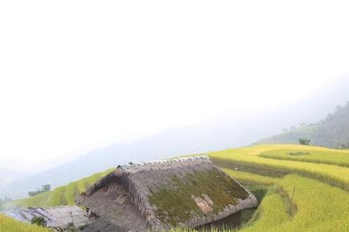 Hà Giang quảng bá thương hiệu 'Điểm đến văn hóa khu vực hàng đầu châu Á'