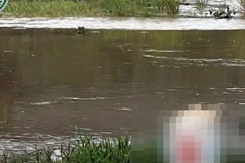 Hiện trường một phụ nữ tử vong trên sông có dấu hiệu bị hành hung, nghi phạm là chồng cũ