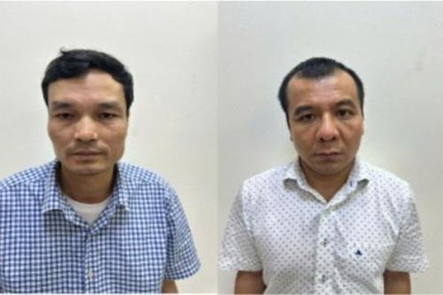 Bắt Phó Tổng Giám đốc Công ty cổ phần xi măng Hạ Long