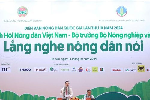 Hỗ trợ nông dân phục hồi sản xuất sau bão