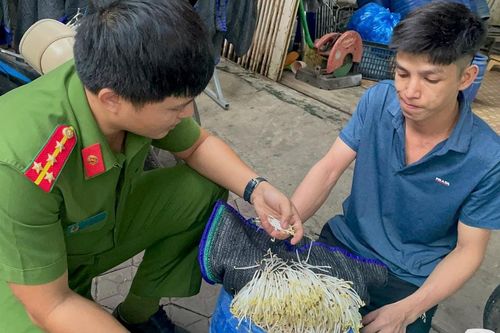 Quảng Ngãi: Khởi tố hai chủ cơ sở sử dụng hóa chất cấm để sản xuất giá đỗ