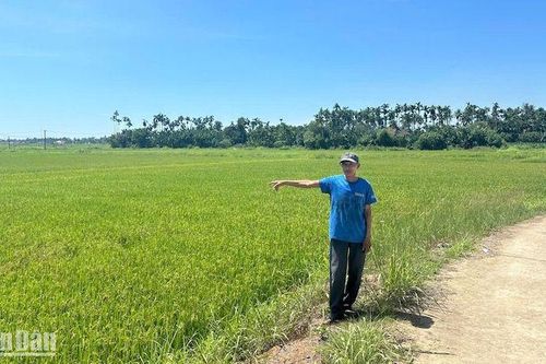 Cần sớm cấp 'sổ đỏ' cho người dân Quảng Ngãi sau dồn điền đổi thửa
