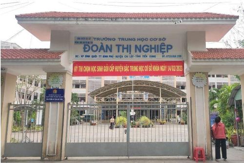 Một hiệu trưởng THCS tử vong do bị ong đốt