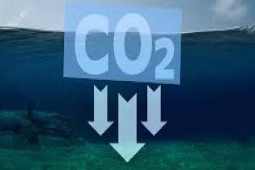 Hoạt động CCUS đối mặt với thách thức từ tình hình kinh tế hiện tại