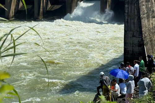 Triều cường có thể vượt mức báo động 3, thủy điện Trị An ngừng xả lũ