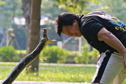 'Vua xiếc Việt', NSND Tống Toàn Thắng và lần đối diện với tử thần