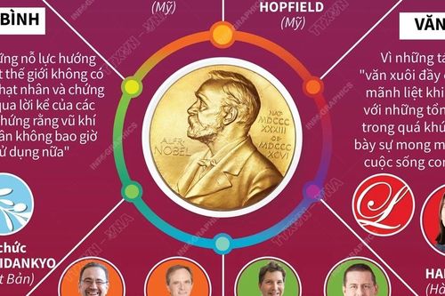 Toàn cảnh mùa giải Nobel năm 2024