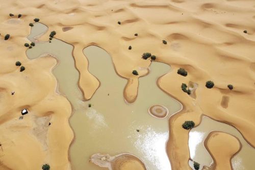Hình ảnh kinh ngạc Sa mạc Sahara ngập lụt