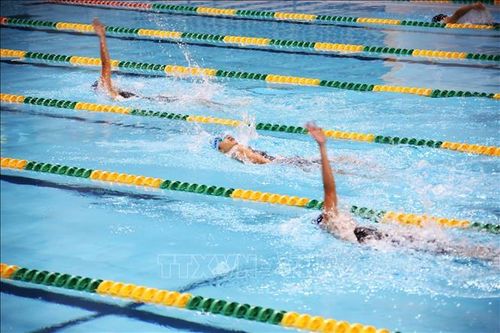 283 vận động viên tranh tài Giải bơi và lặn vô địch quốc gia năm 2024