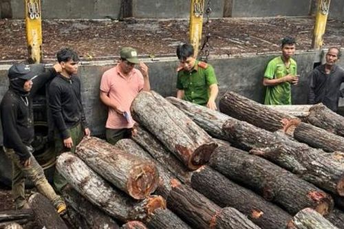 Vụ bắt xe gỗ tại biên giới: Sẽ xử lý nghiêm nếu có dấu hiệu tiếp tay