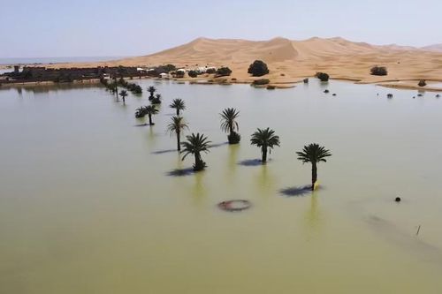 Bất ngờ trước hình ảnh sa mạc Sahara bị ngập lần đầu tiên sau nhiều thập kỷ