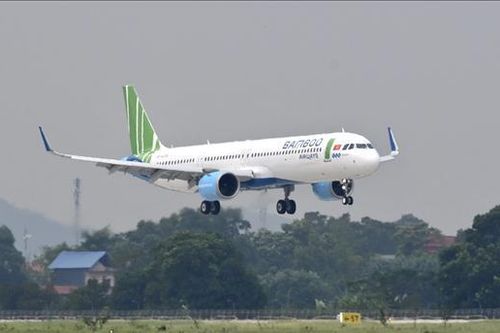 Sắp gỡ bỏ lệnh cấm xuất cảnh Tổng giám đốc Bamboo Airways