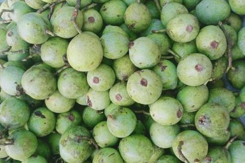 Loại quả xưa chín rụng chẳng ai thèm ăn, giờ thành đặc sản được ưa chuộng vì ngon, 70.000 đồng/kg