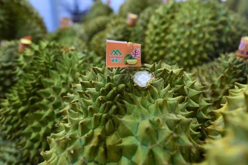 Việt Nam, Trung Quốc nghiên cứu xây dựng khu hợp tác kinh tế qua biên giới
