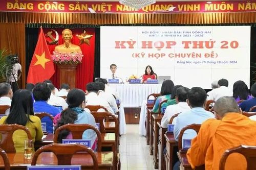 Đồng Nai: Thu hồi đất để xây dựng 4 dự án đường dây Nhà máy điện Nhơn Trạch 3 và 4
