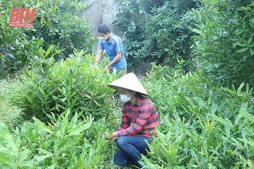 Tháo gỡ khó khăn trong áp dụng khoa học - kỹ thuật vào sản xuất nông nghiệp