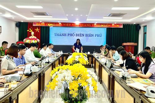 Giám sát việc tuân thủ pháp luật trong hoạt động thi hành án hình sự, dân sự trên địa bàn TP. Điện Biên Phủ