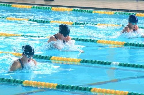 283 vận động viên tham dự Giải bơi và lặn vô địch quốc gia năm 2024