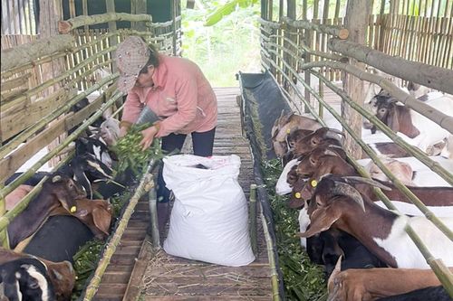 Xã Khánh Trung, huyện Khánh Vĩnh: Nỗ lực thu hút đầu tư