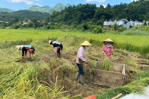 Thể lệ Cuộc thi ảnh 'Nông dân Lai Châu khát vọng vươn lên'
