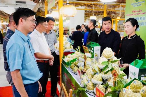 Chi Lăng: Tìm kiếm thị trường, tạo đầu ra cho sản phẩm chủ lực