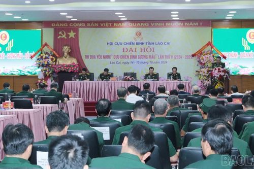 Khai mạc Đại hội thi đua yêu nước 'Cựu chiến binh gương mẫu' lần thứ V, giai đoạn 2024 - 2029