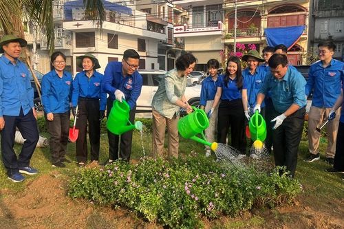 Hạ Long (Quảng Ninh): Khôi phục lại đường hoa sau bão số 3