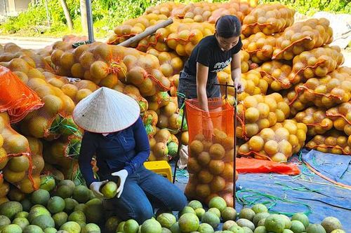Yên Bái đứng thứ 9 trong vùng về tốc độ tăng tổng sản phẩm GRDP